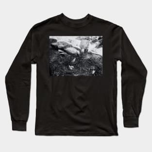 Expecting Nest Long Sleeve T-Shirt